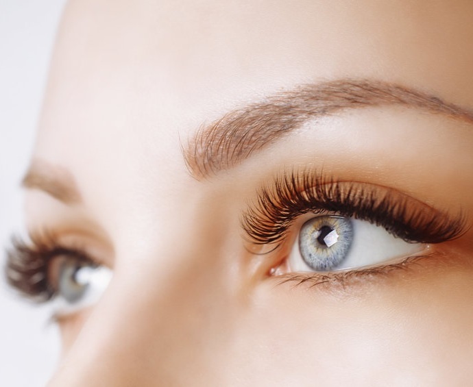 lash and brow treatments near me in Holywood